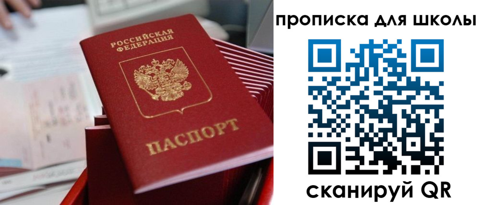 прописка для школы в Николаевске